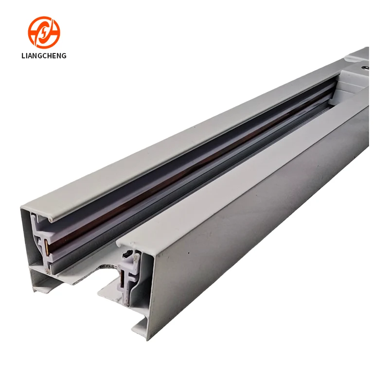 Custom 2-Circuit Aluminum Track Rail | OEM & ODM Solutions